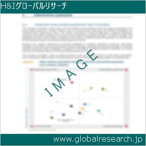 グローバルリサーチ調査レポートのイメージ